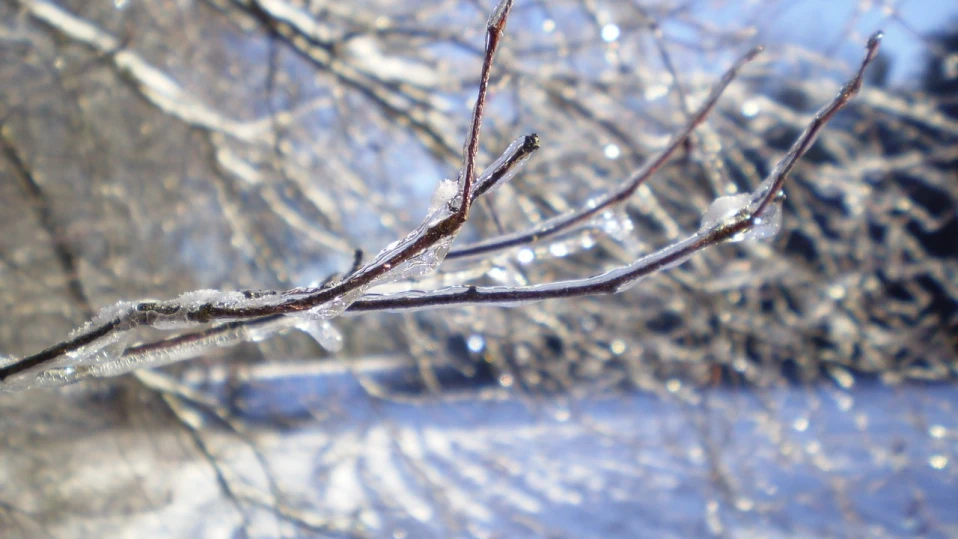 Ето кога идва първият сняг в България