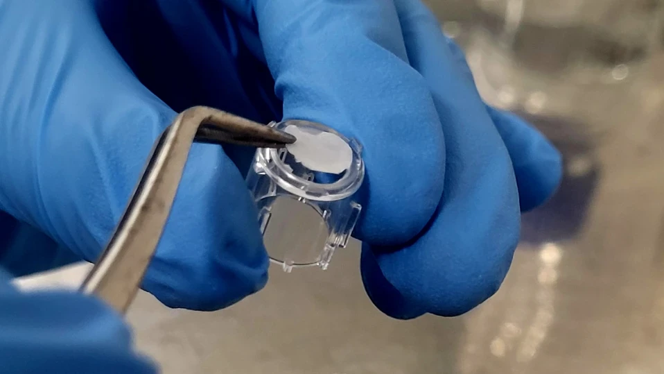 Наши учени правят препарат срещу стареене