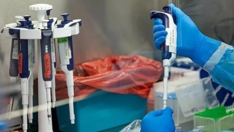 Първи случай на холера в Ливан, СЗО призова за спешни действия