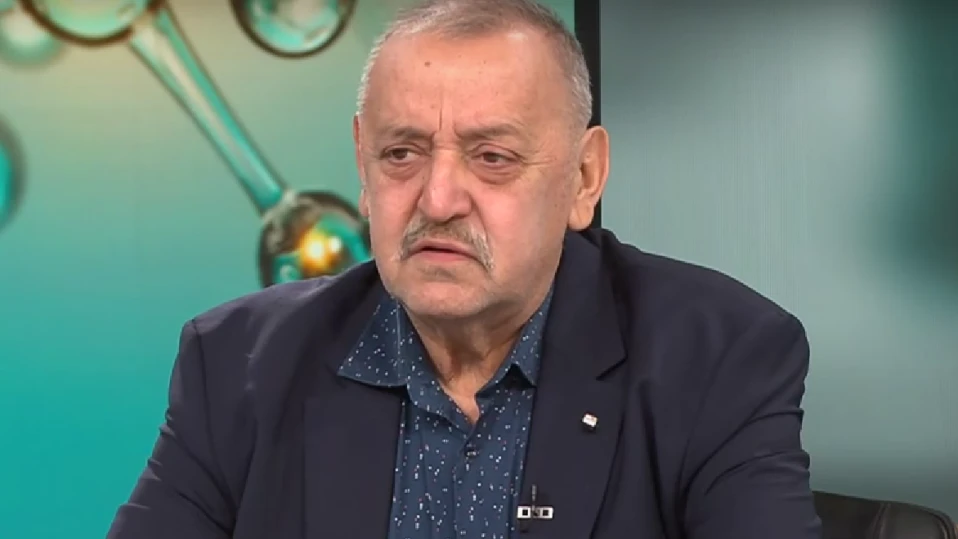 Проф. Кантарджиев: Дървениците не могат да предадат опасни заболявания