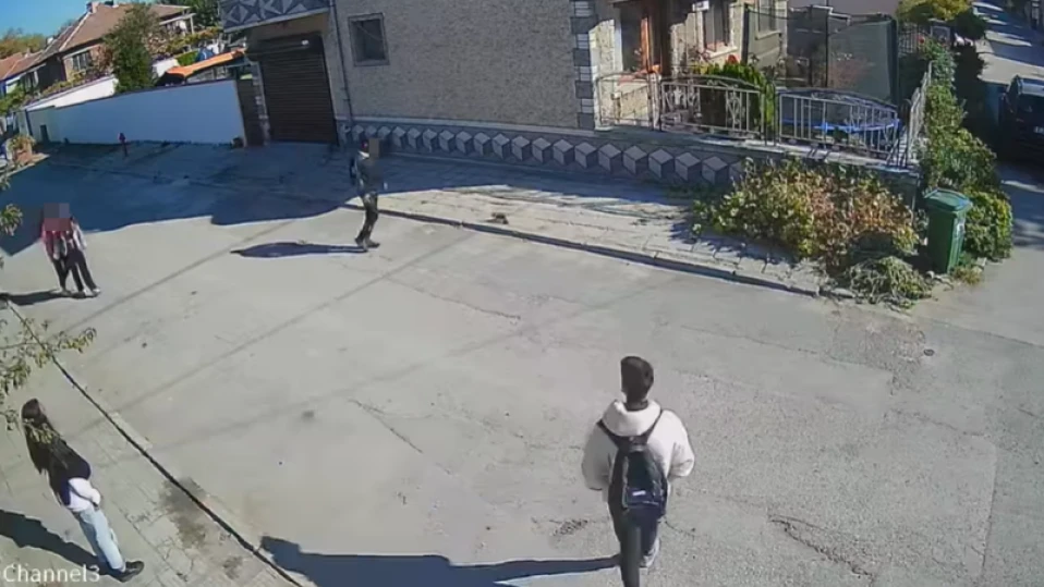 Дете уби котка с шутове пред свидетели в Димитровград