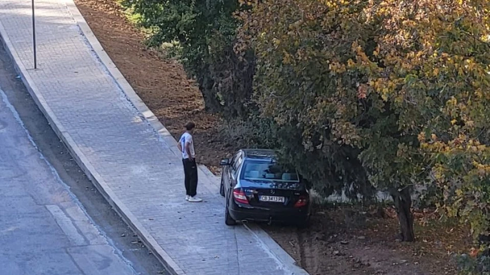 Млад шофьор излезе с лимузината си от пътното платно: "За щастие нямаше никой на тротоара"