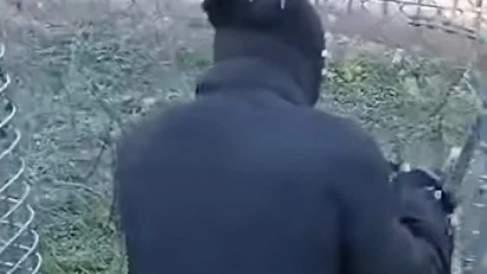 Араби се рекламират във видео как режат оградата и преминават необезпокоявано турско-българската граница