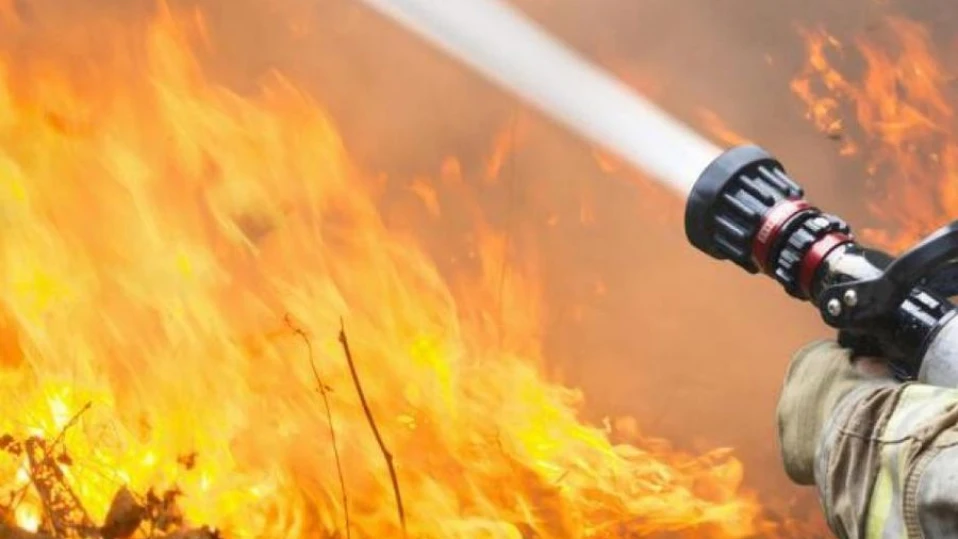 Горски пожар край Лос Анджелис изпепели десетки къщи