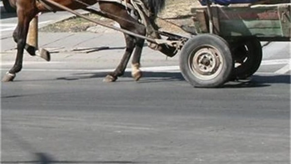 Лек автомобил блъсна каруца до село Виноградец