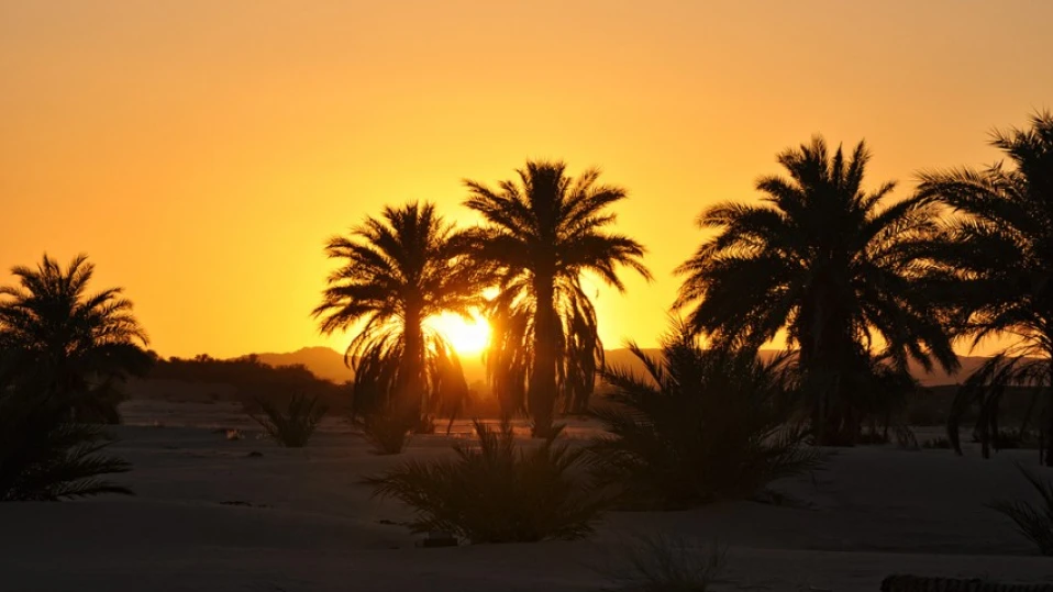 Откриваме консулство в Мавритания