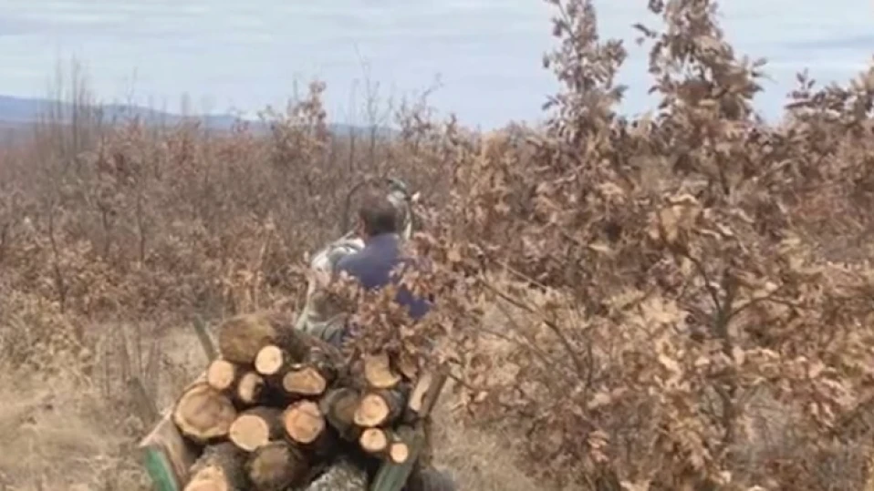 Бракониер с крадени дърва нападна горски с кол