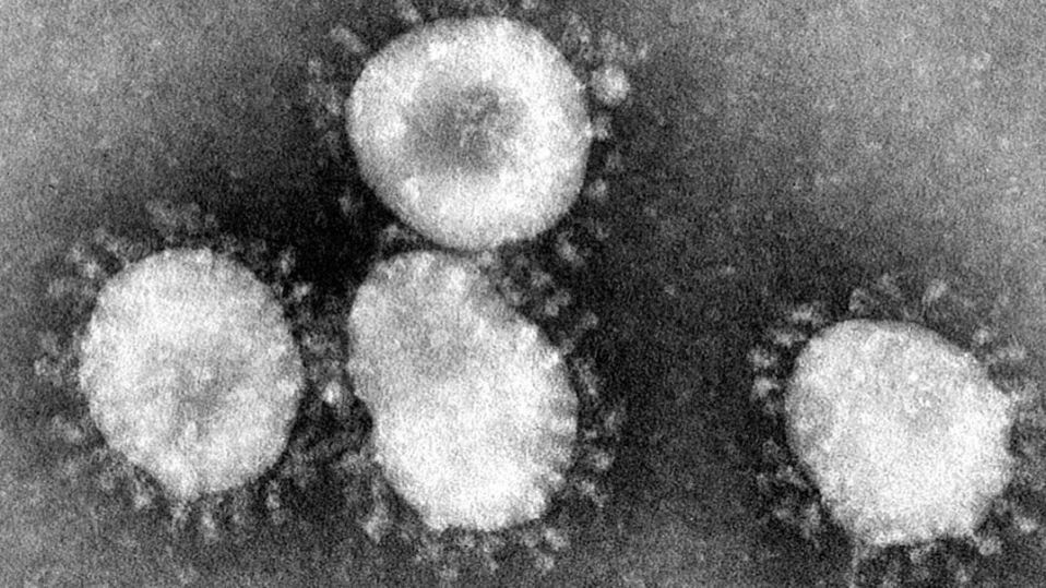 5 доказателства, че COVID е създаден в лаборатория