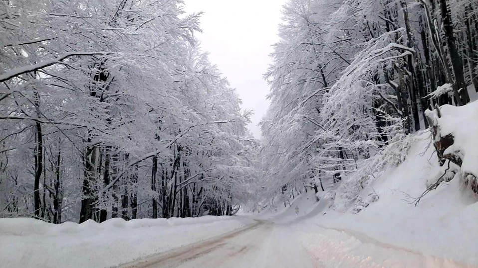 В прохода Петрохан вали мокър сняг