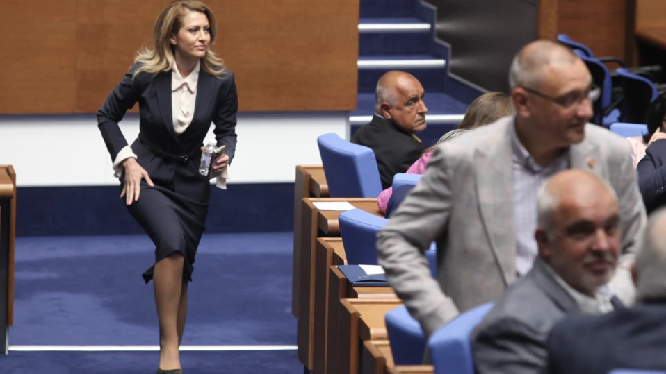 Рая Назарян е най-търсеният политик за 2024 г. в Гугъл в България