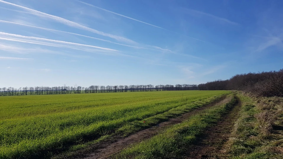 Два проекта по програма Life събраха експерти в Шумен