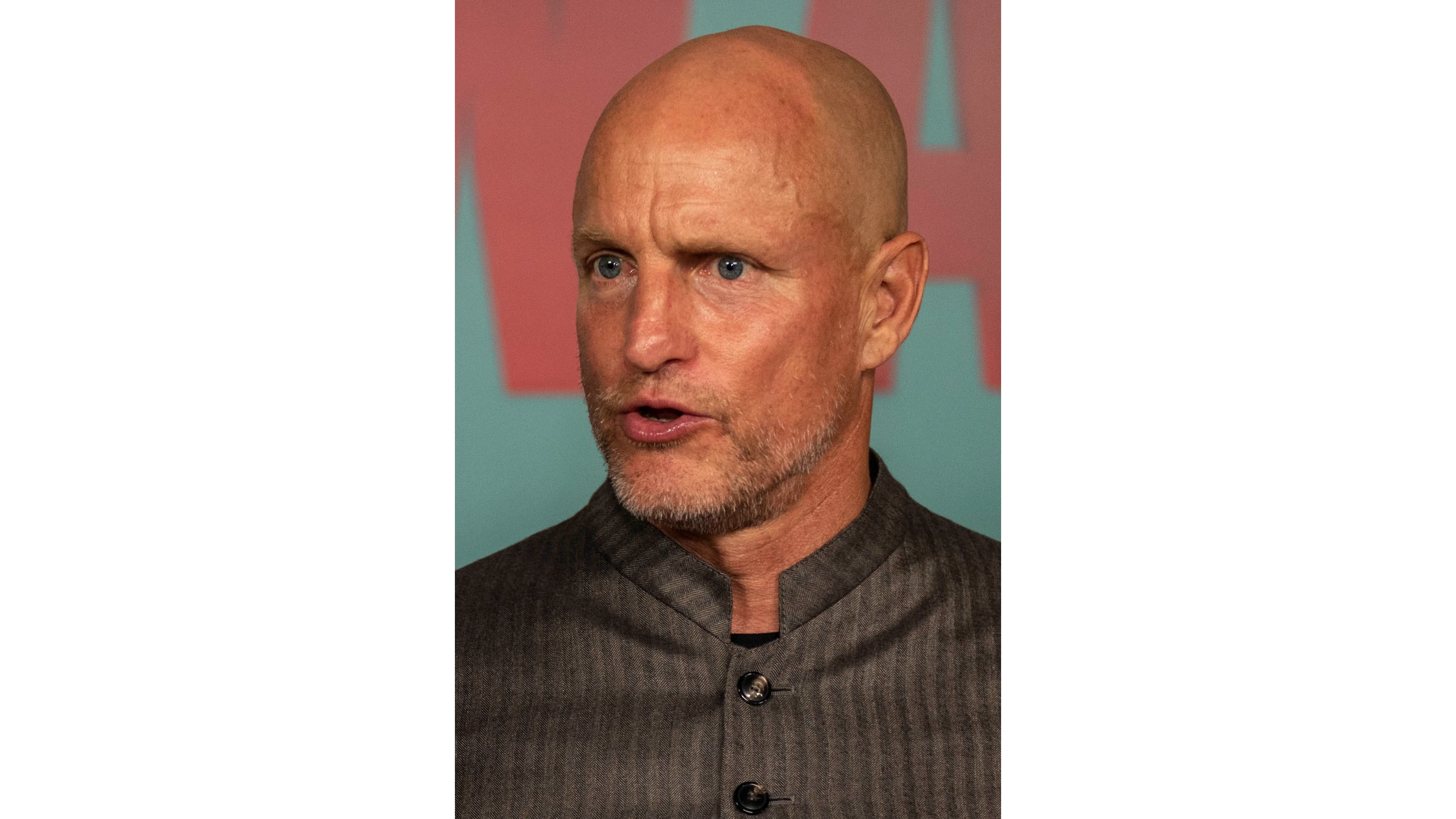 На известния холивудски актьор Уди Харелсън са предложени две роли