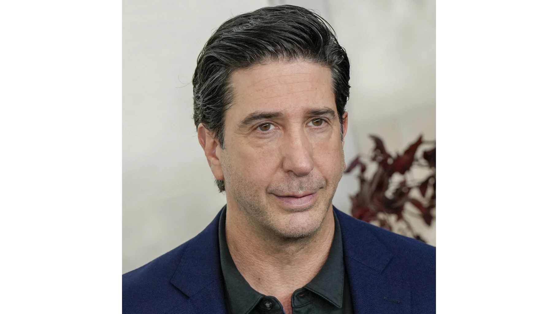 Актьорът Дейвид Шуимер познат с ролята си на Рос Гелър