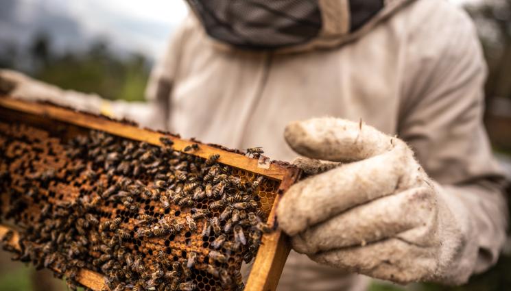 Високите американски мита могат да доведат до пренасочване на китайски