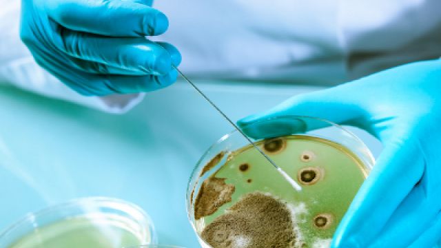 Инфекционисти предупреждават че антибиотиците не помагатЗатоплянето на времето сменя грипа