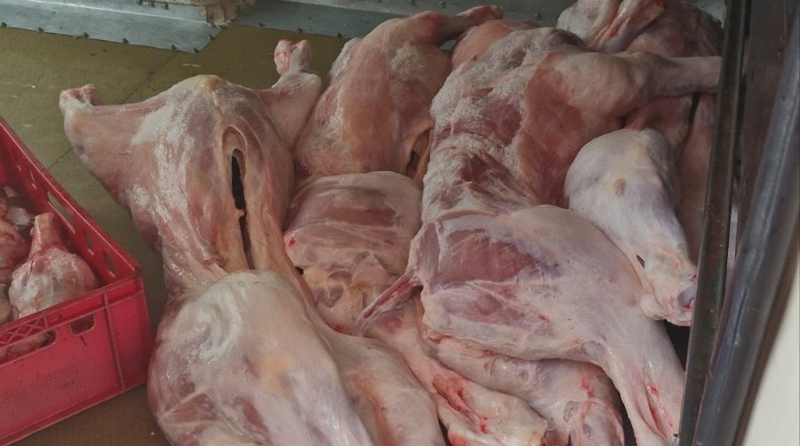 Органите на реда установиха незаконна кланица В хода на проведена