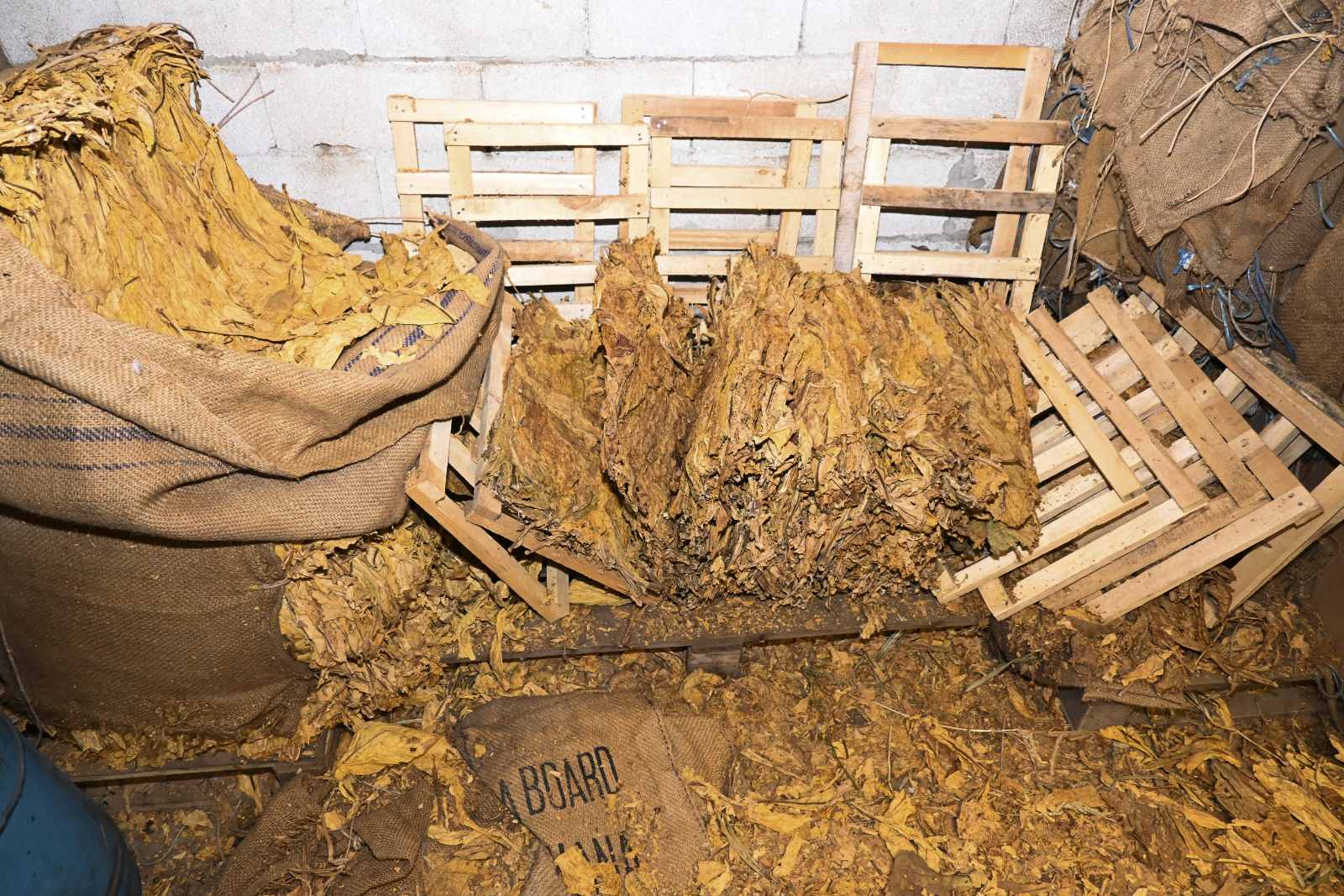 Над 1 тон нелегален тютюн на стойност 250 000 лв