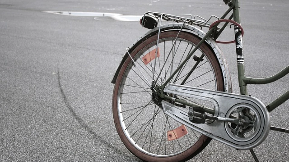 Снимка: Архив