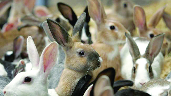 Трябва да преодолява понякога климатичното влияниеЧесто човек е виновен за