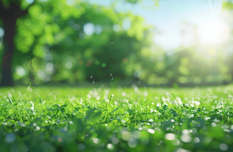 През нощта ще бъде предимно ясно и почти тихо На