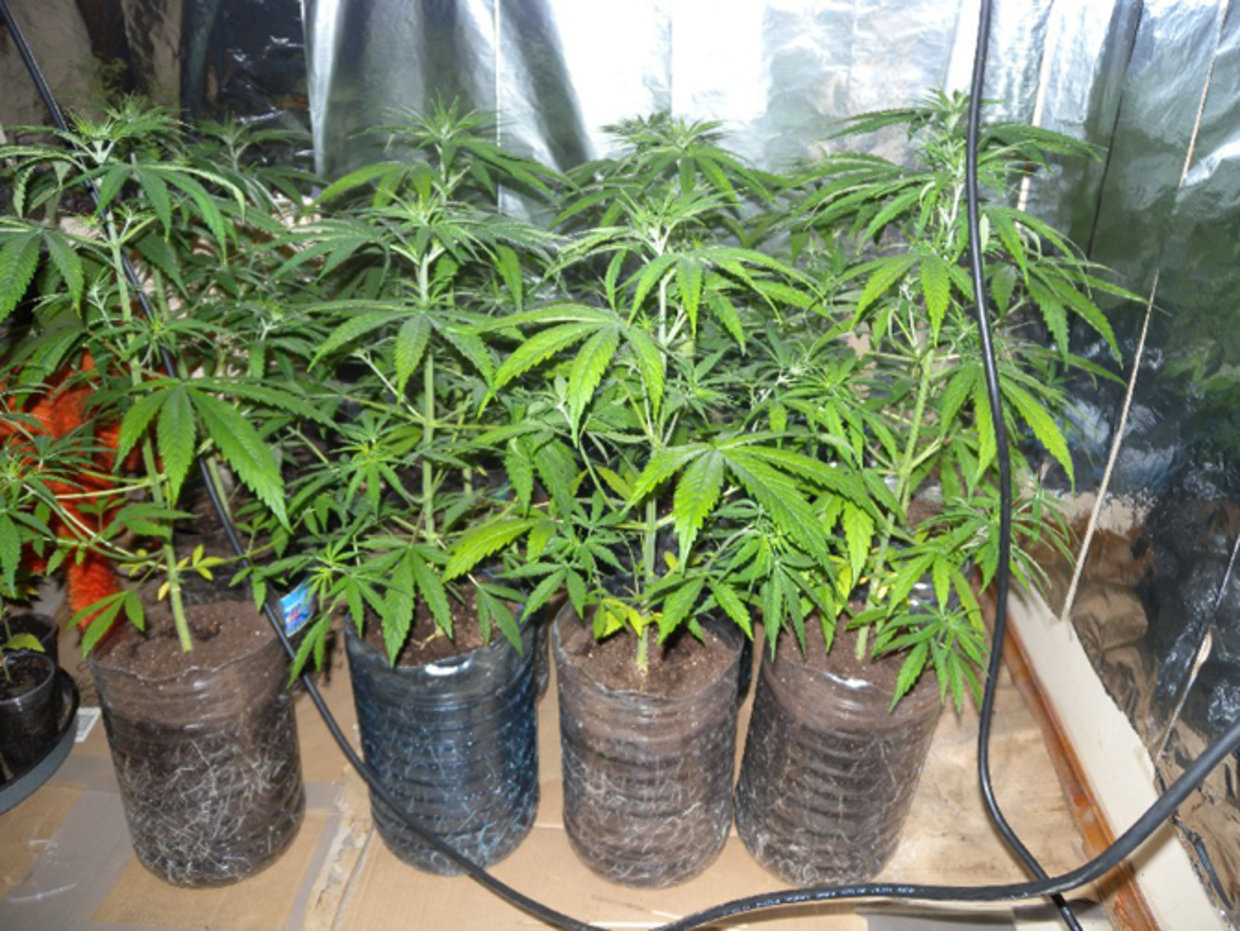 Наркотични вещества иззеха служители на РУ – Горна Оряховица В