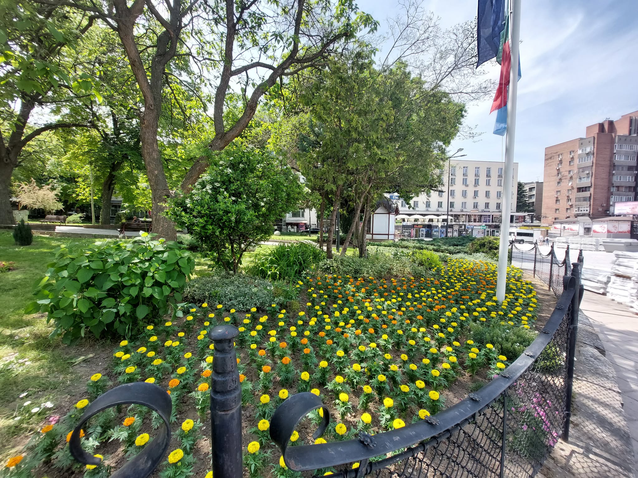 Служителите на ОП Чистота – Свищов активно започнаха дейност по