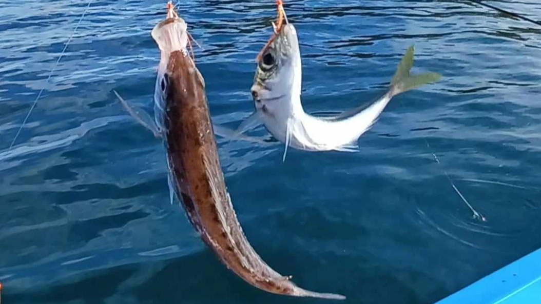 Бургас отбелязва Летен Никулден на 9 май Празник има не