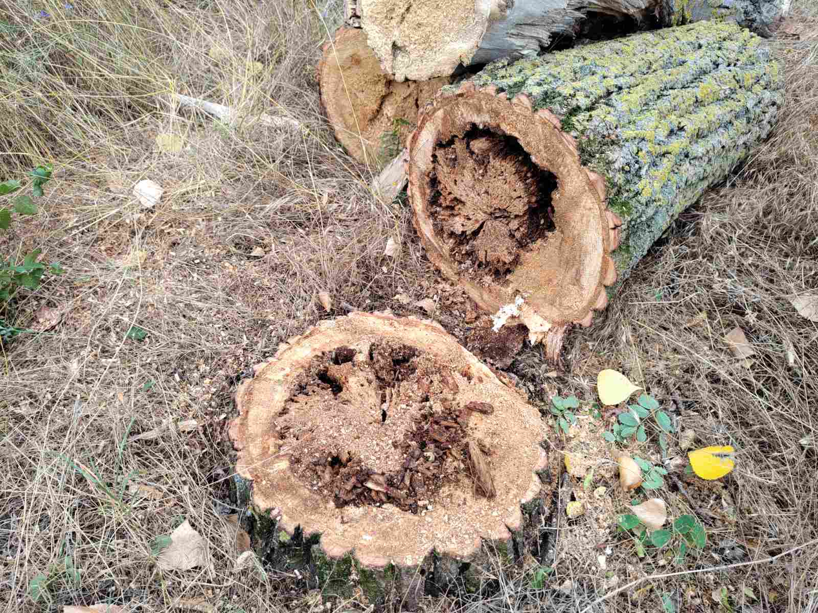 2000 проверки са извършили през април служители на Североизточното държавно