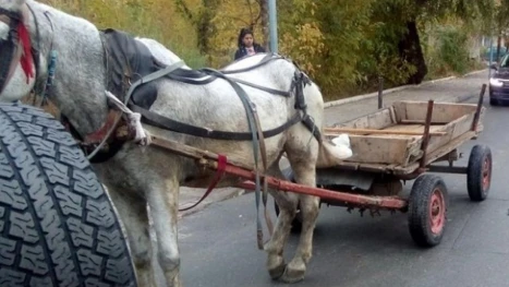 Деца с каруца блъснаха възрастен мъж, той е с опасност за живота