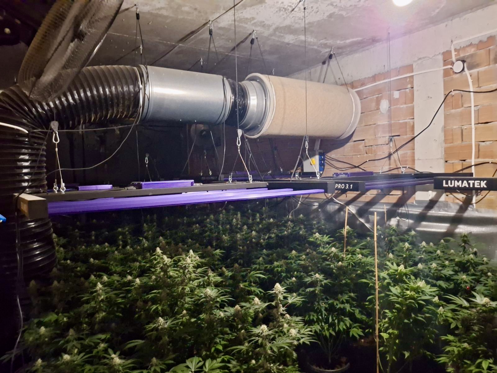 Служители на ГДБОП арестуваха четирима души при операция срещу организирана