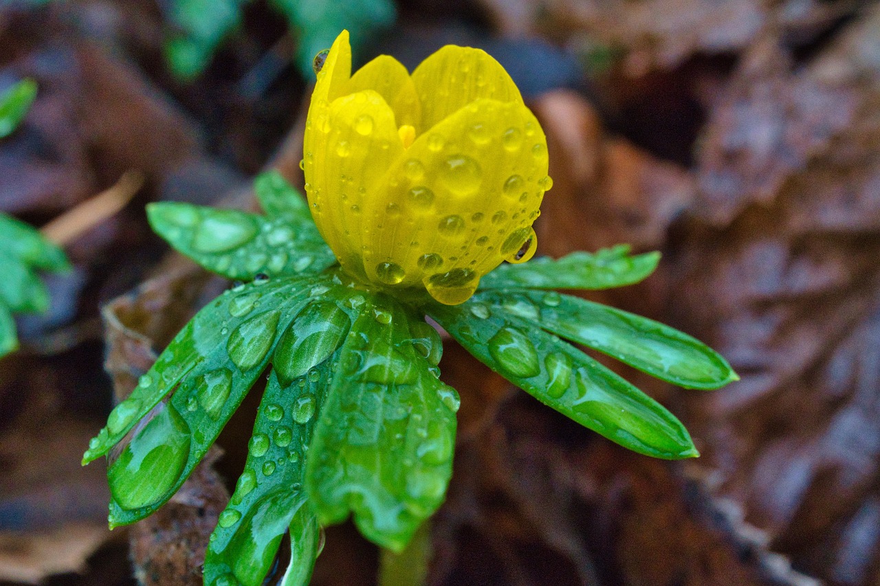 През нощта облачността над страната ще е значителна на отделни