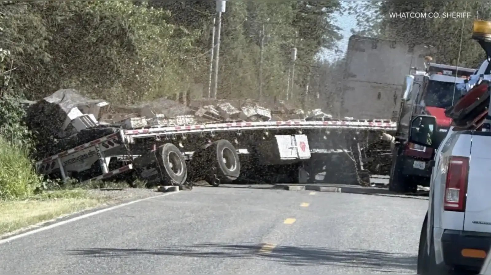 Камион превозващ кошери с пчели катастрофира в американския щат Вашингтон