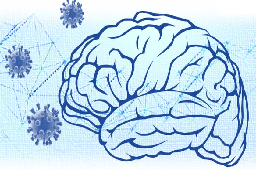 Среща се рядко но е опасно вирусът Борна може да