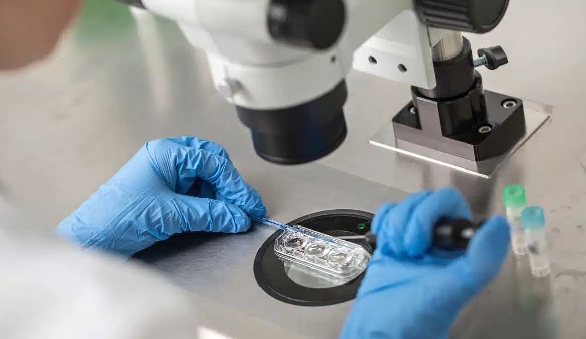 Една от водещите австралийски клиники за ин витро оплождане по