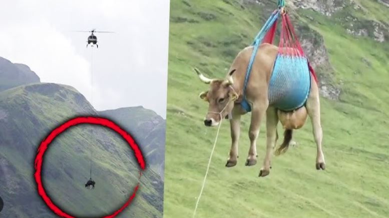 Жителите на богатата страна в паника след заличаването на селцето