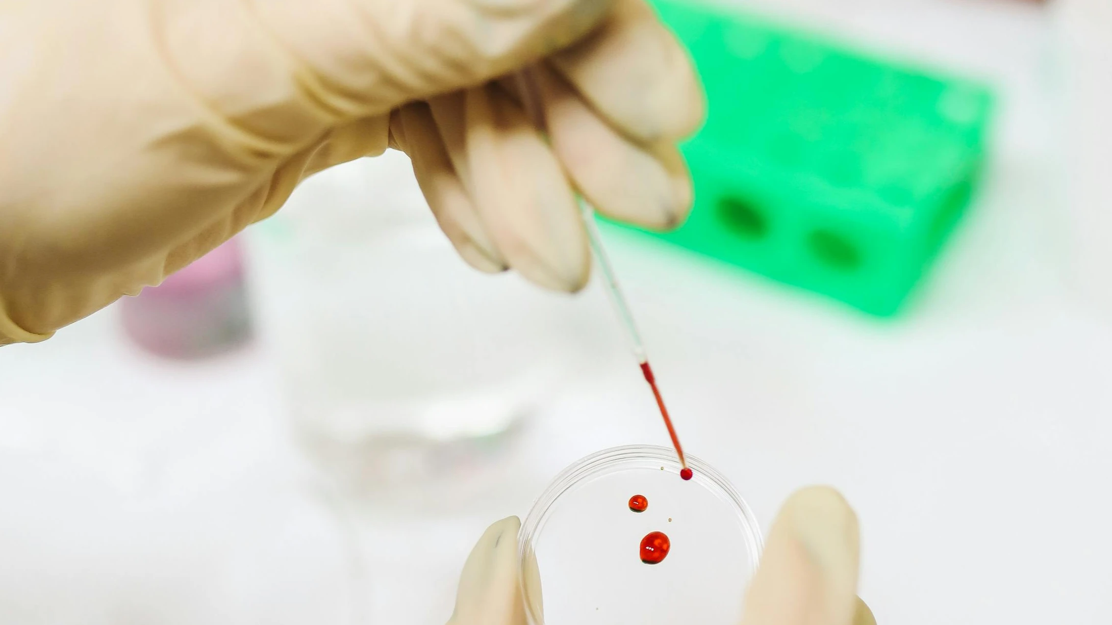 Екип международни учени с ново откритиеХората с по високи IC показатели