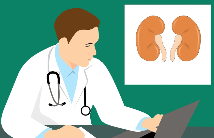 Най често бъбречните тумори се диагностицират случайно при ехографско изследванеНа 19