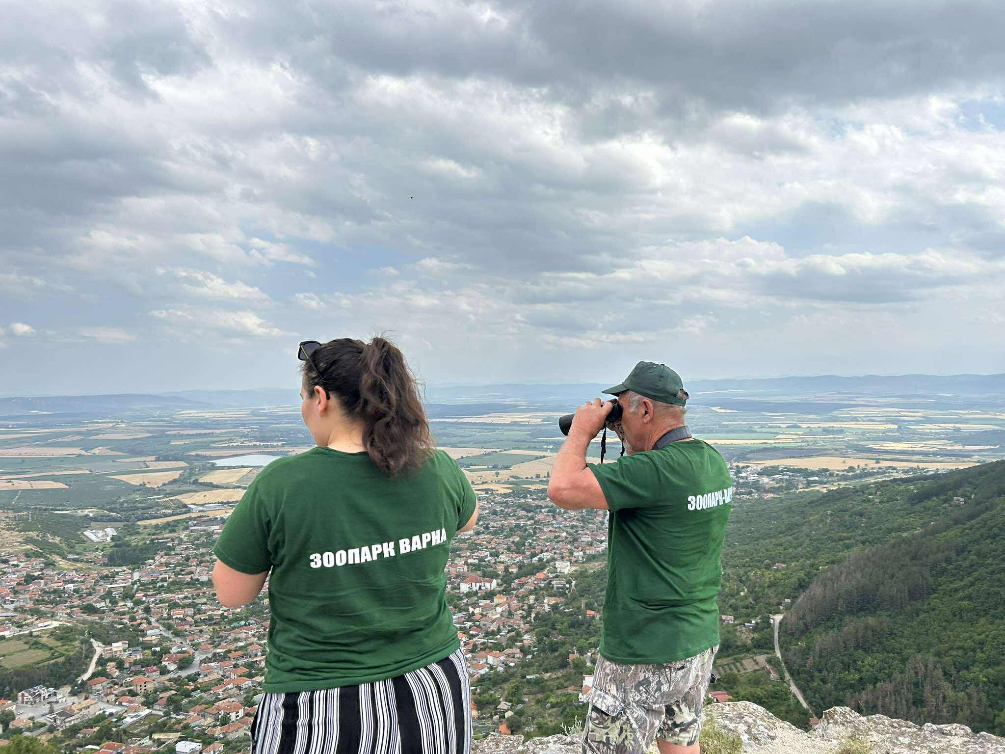 Какво ще стане ако Иран удари с тежка ракета Димона Защо