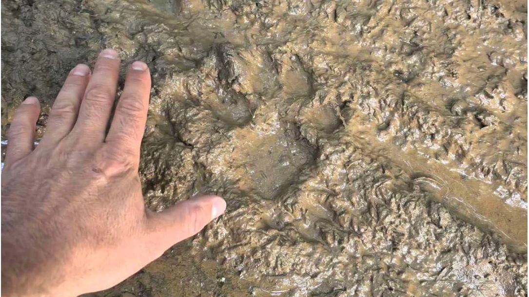 Следите му колкото педя и само на 500 метра от