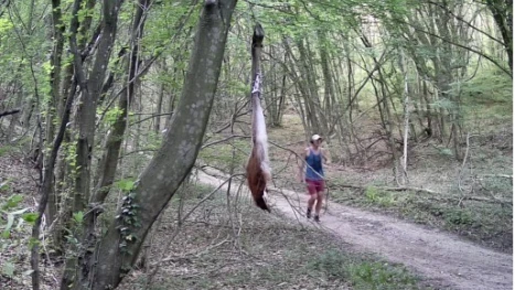 Засякоха мъж да се разхожда в периметъра на хищника от Шумен