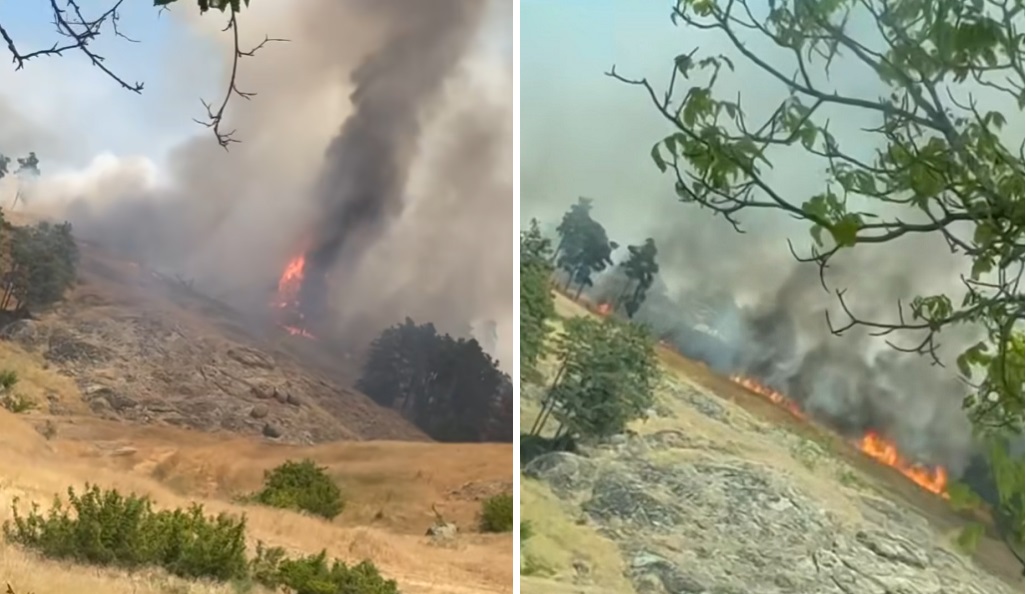 Голям пожар избухна край Карнобат Четири противопожарни екипа и земеделска