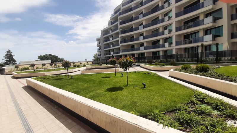 Според националната статистикаУвеличението на стойността им в рамките на година