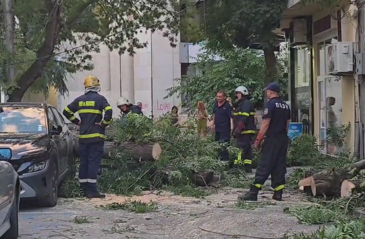 Голямо дърво падна върху лека автомобил в центъра на Благоевград