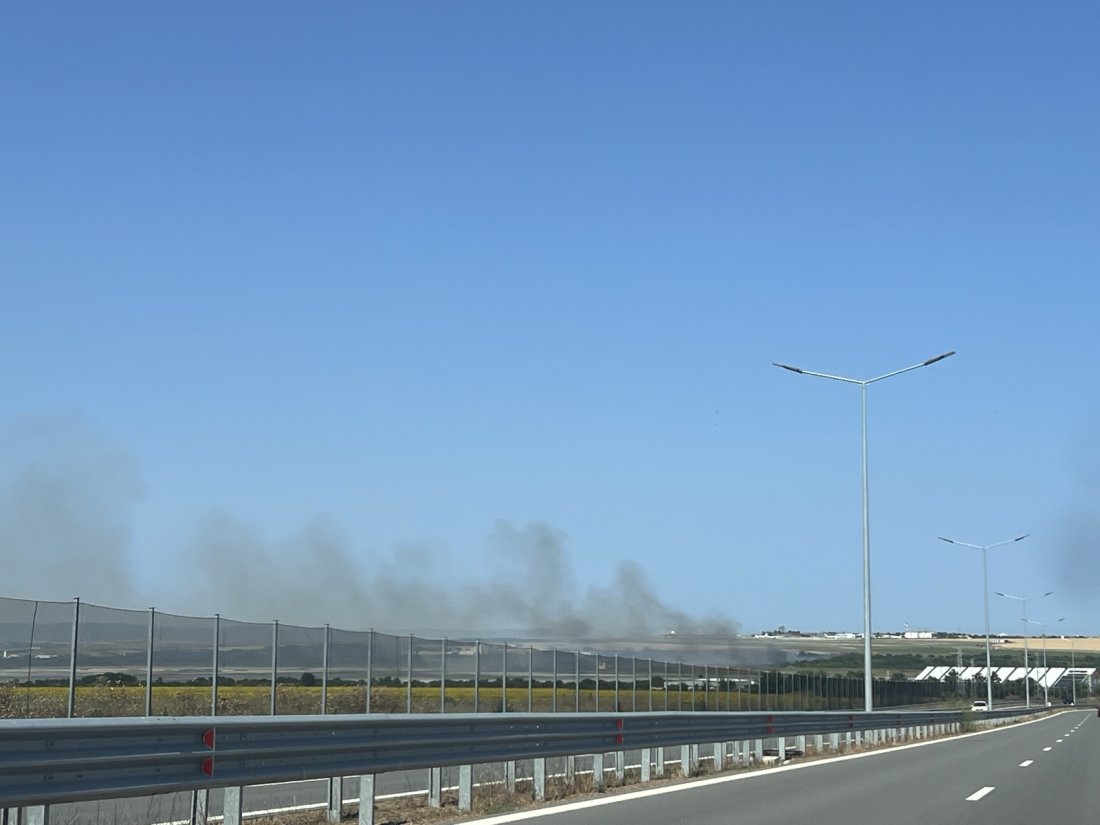 Пожар гори и между Петрич и Сандански край село Рибник Затворен