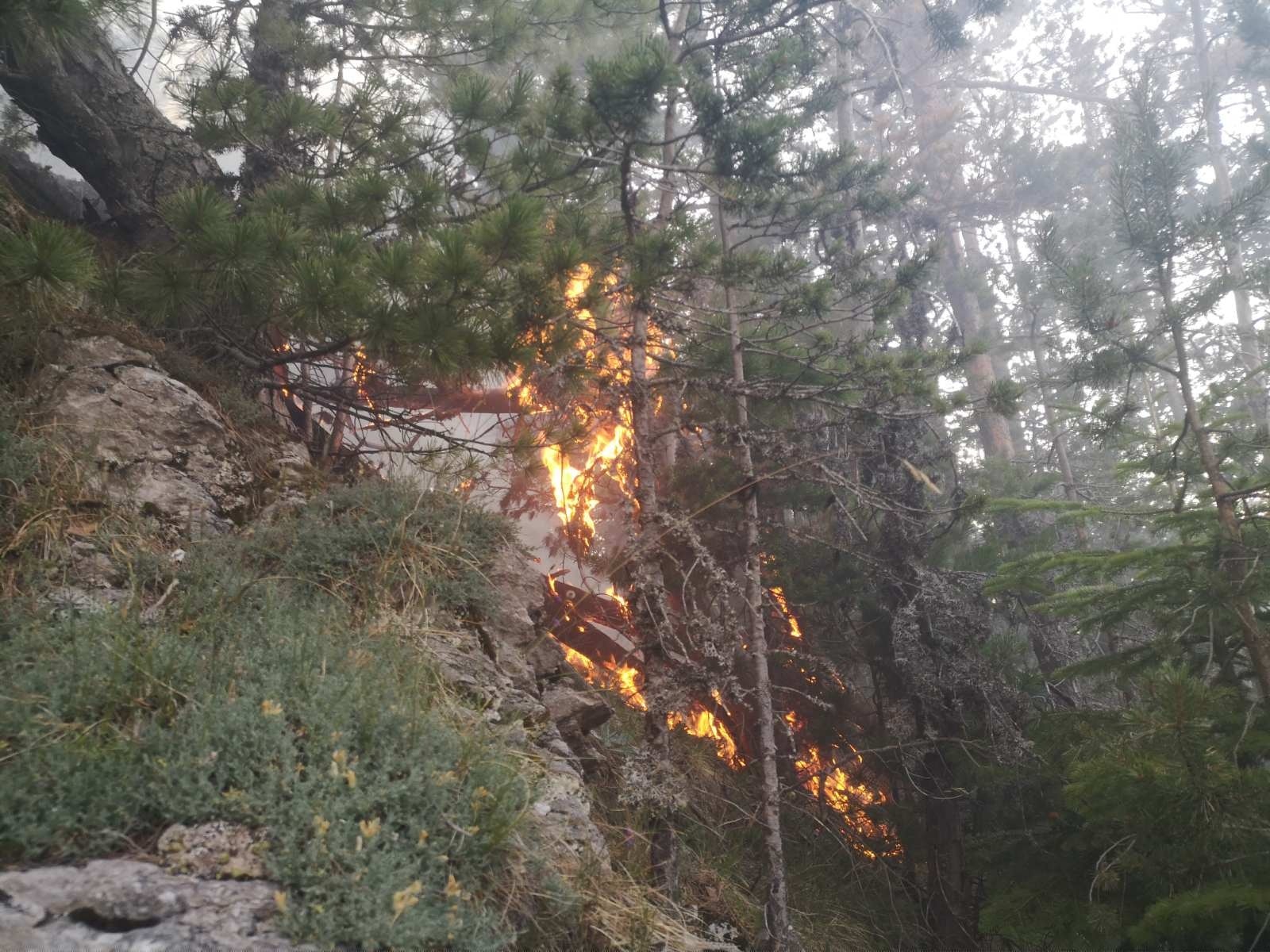 Пожар се разгоря в местността Корията в Национален парк Пирин
