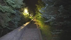Леопардът е забелязан отново на Шуменското плато