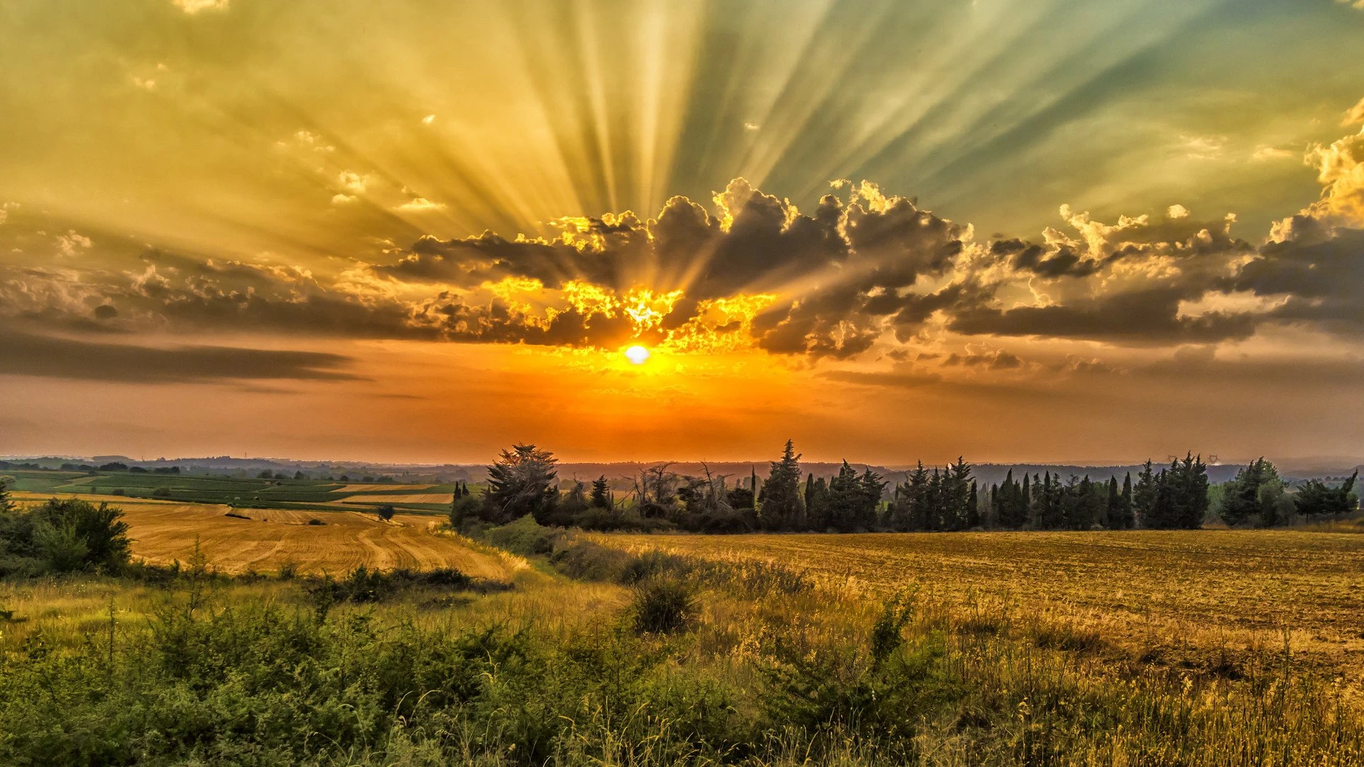 Тиктакаща бомбаИзгарящата му любов става все по жестока и ни води