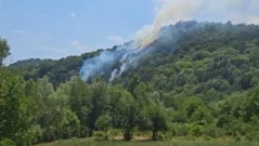 Огън над влаковете: Пожар край Габровица блокира линията, търсят се доброволци