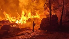 Търсят доброволци, които да помагат за гасенето на пожари в Асеновград и село Искра