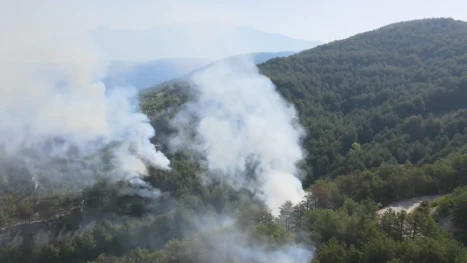 Пожар в село Илинденци